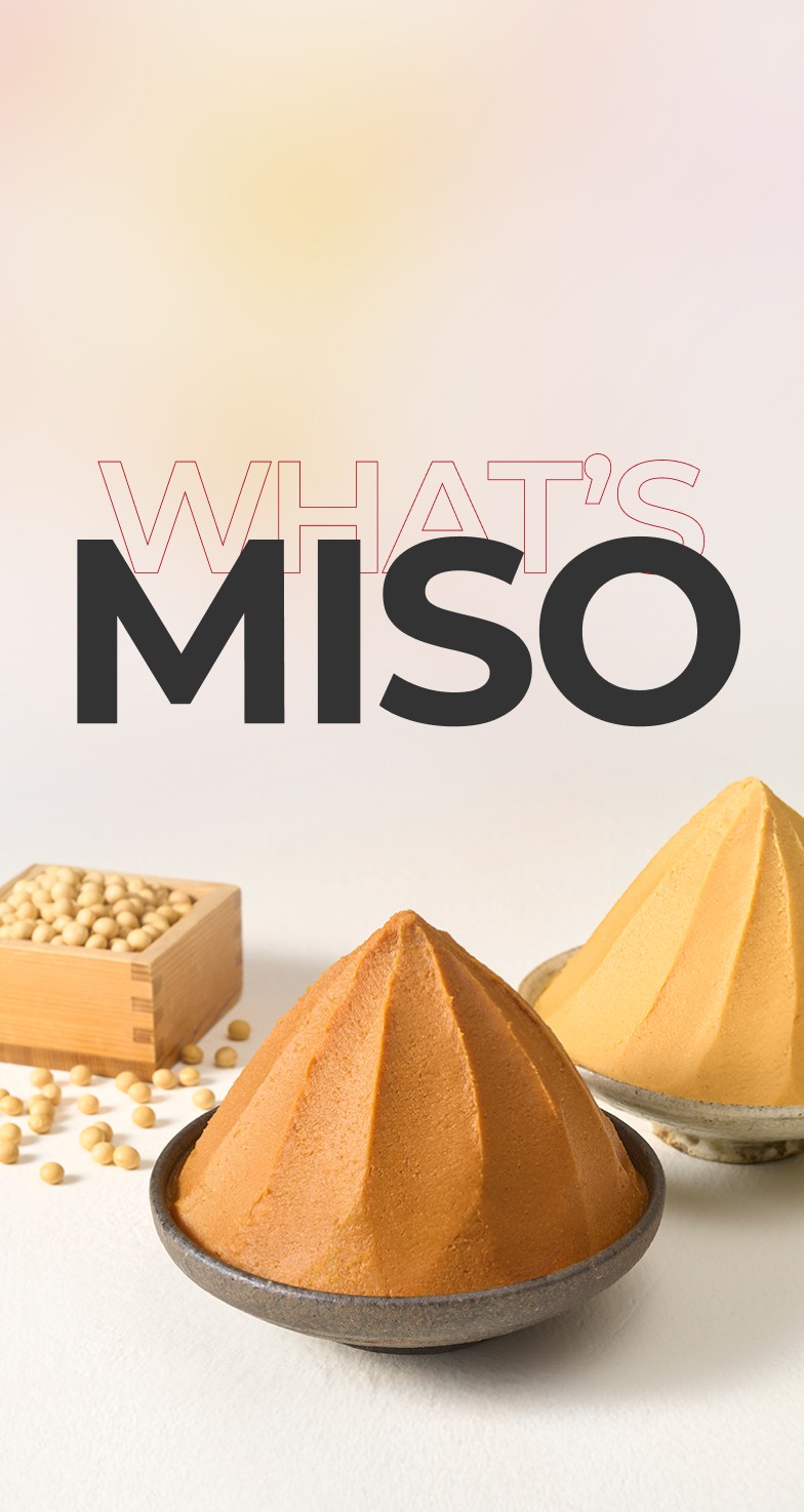 WHAT’S MISO
