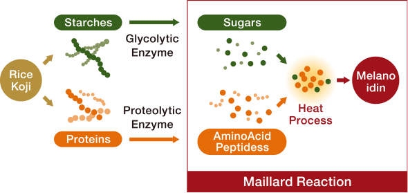 Melanoidin Formation Process