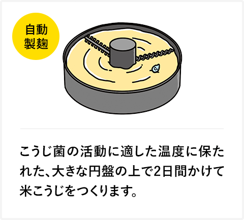 こうじ菌の活動に適した温度に保たれた、大きな円盤の上で2日間かけて米こうじをつくります。