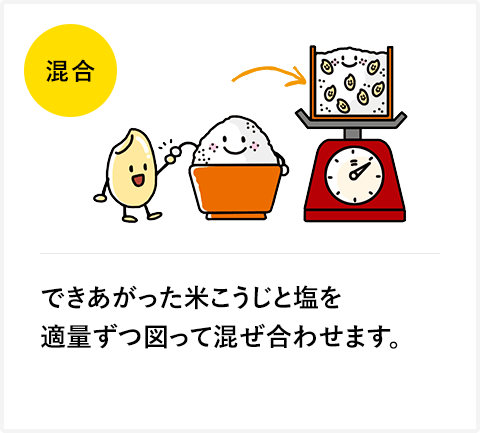 できあがった米こうじと塩を適量ずつ図って混ぜ合わせます。