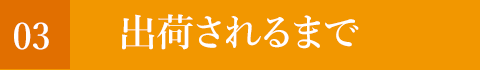 出荷されるまで