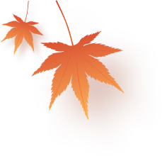 もみじ