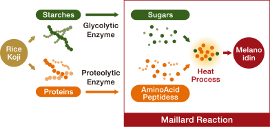 Melanoidin Formation Process