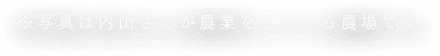 ※写真は内山さんが農業をしている農場です。