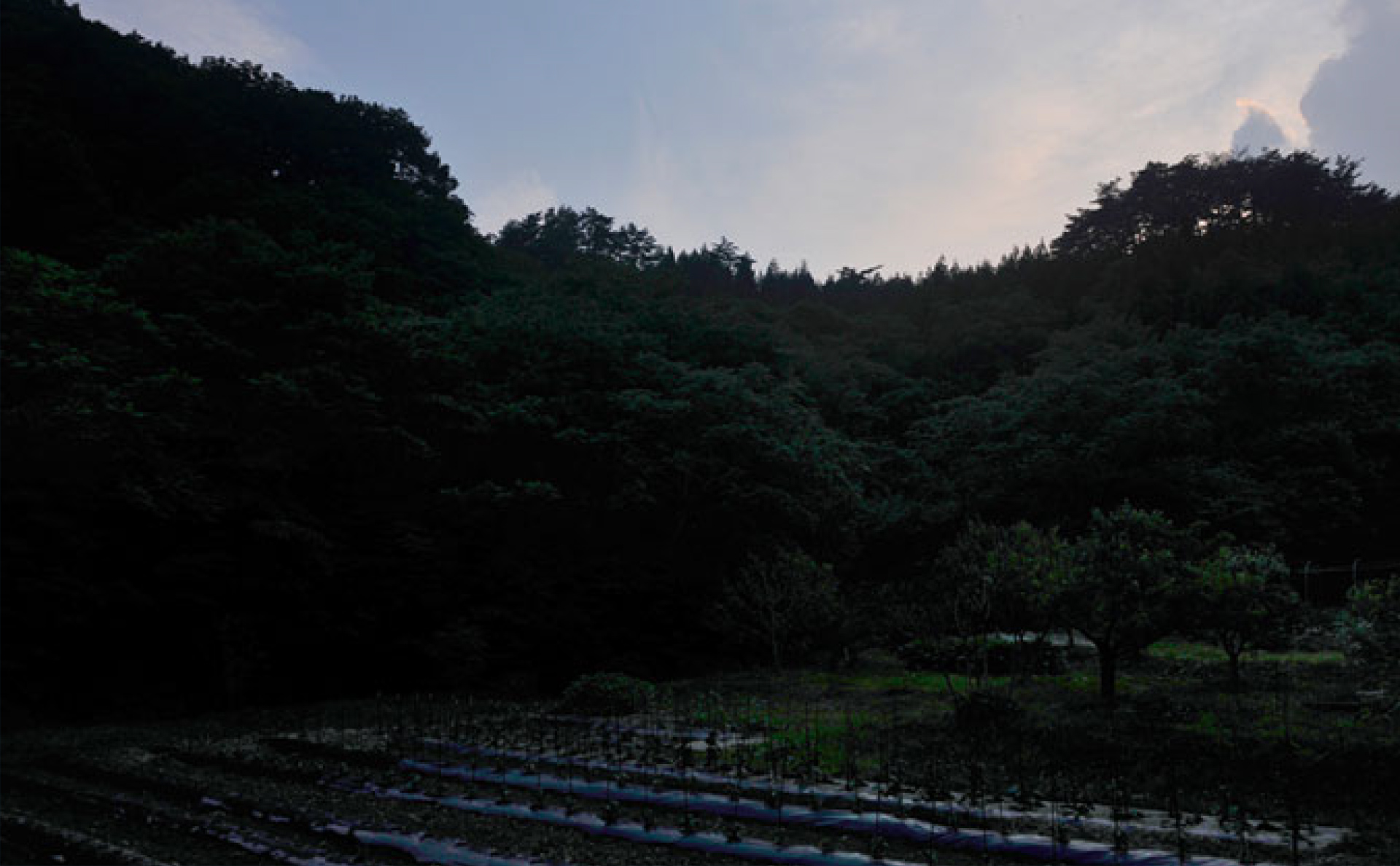 ”魔法の水を見つけました”