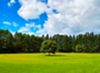 サステナビリティへの取り組み